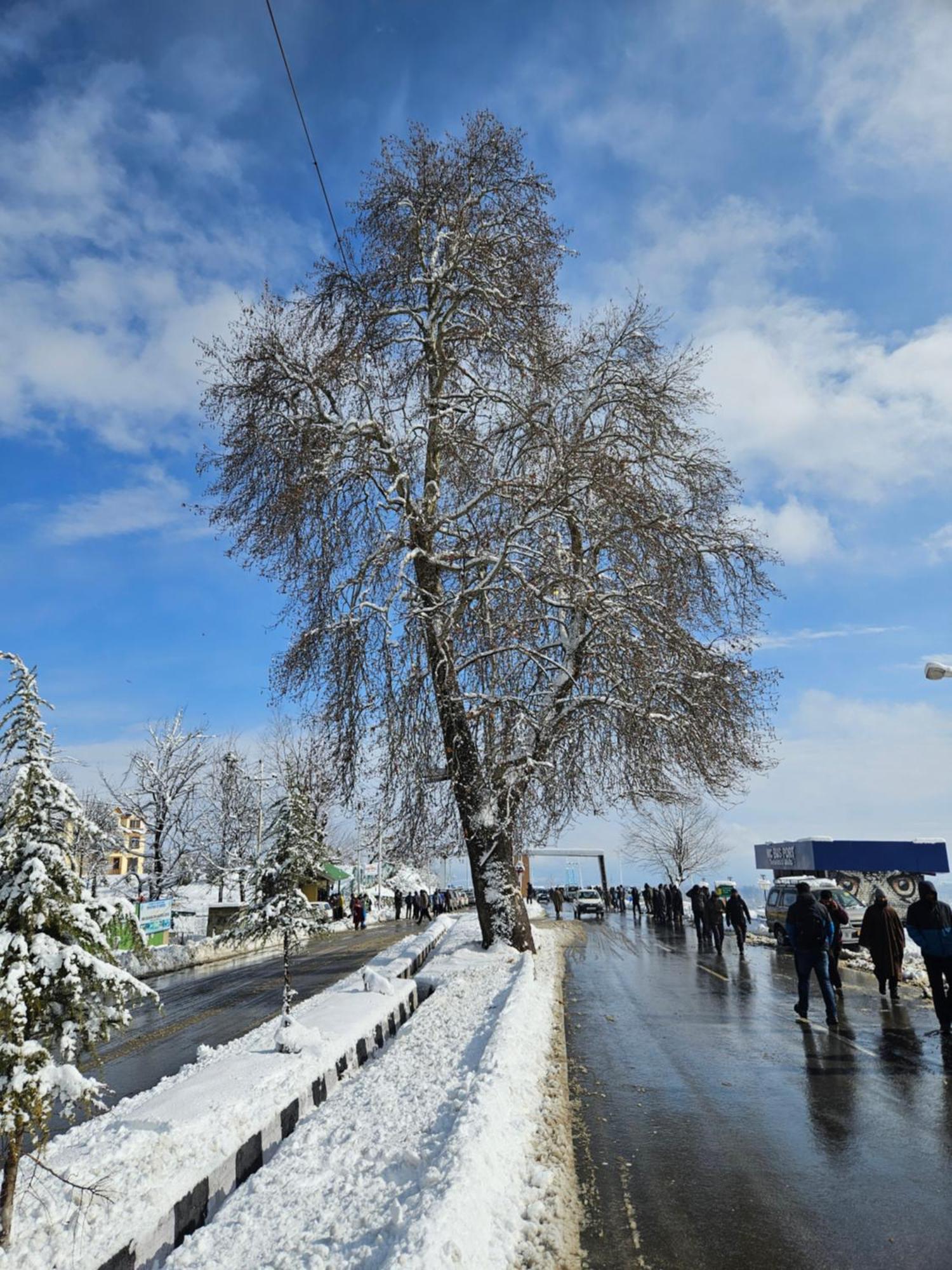 Everest Guest House Gulmarg Exterior photo